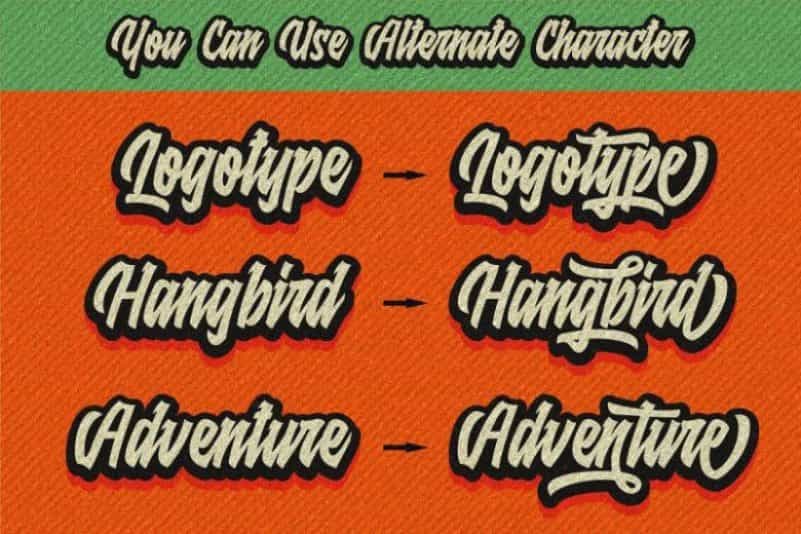 Raydric Script Font Image 2