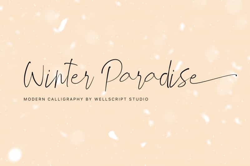 Winter Paradise Modern Script Font Image 1
