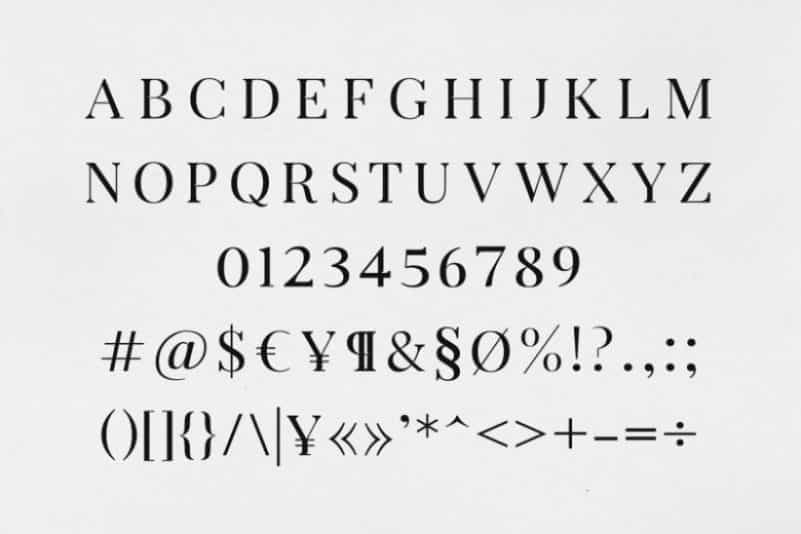 Arterio Serif Font Family Image 2