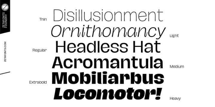 Hagrid Font Family Image 3