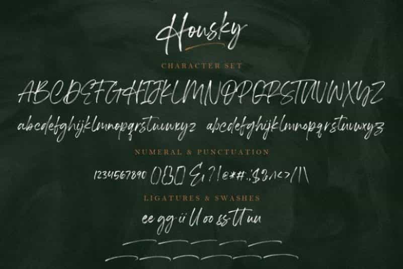 Housky Brush Font Image 3