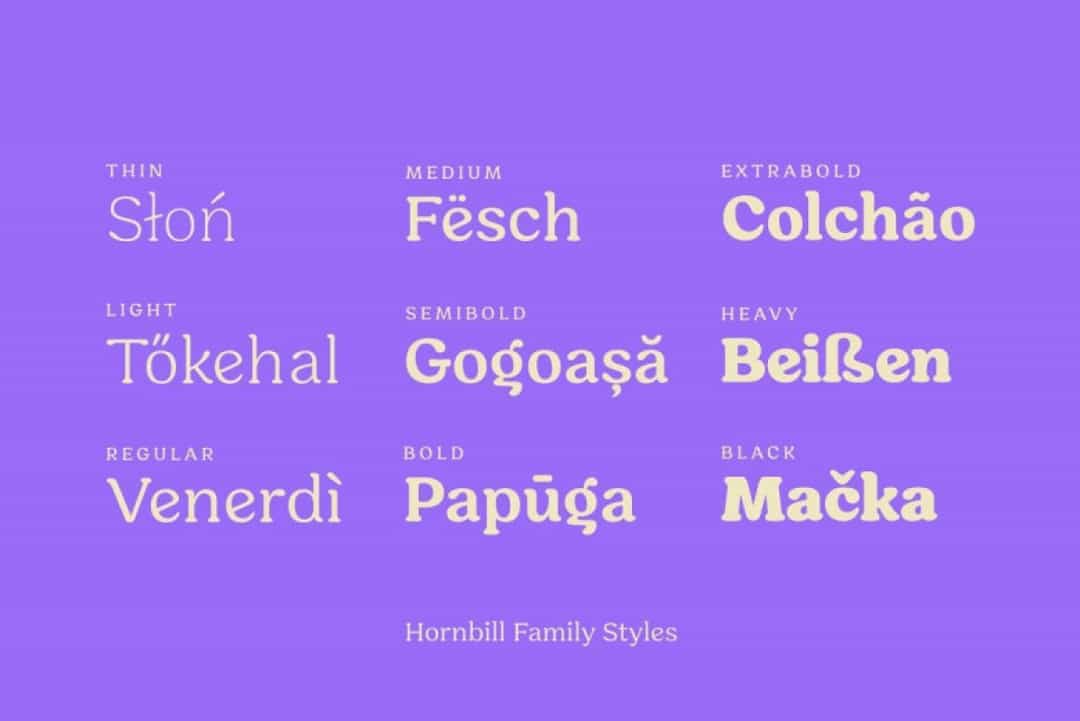 Hornbill Font Image 3