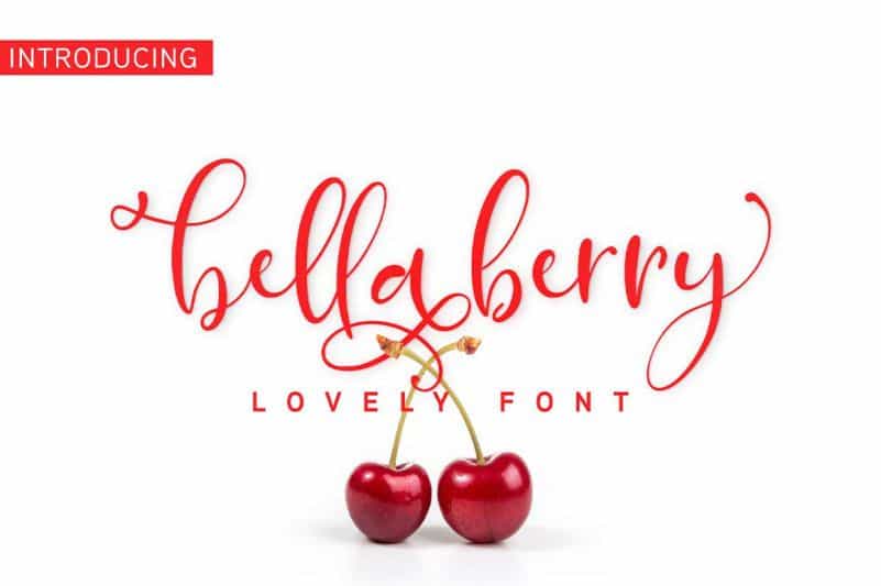 BellaBerry Script Font Image 1