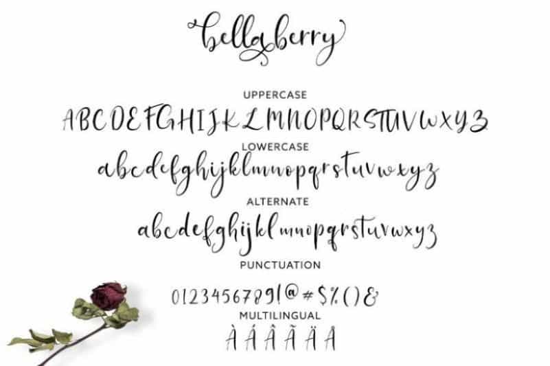 BellaBerry Script Font Image 2