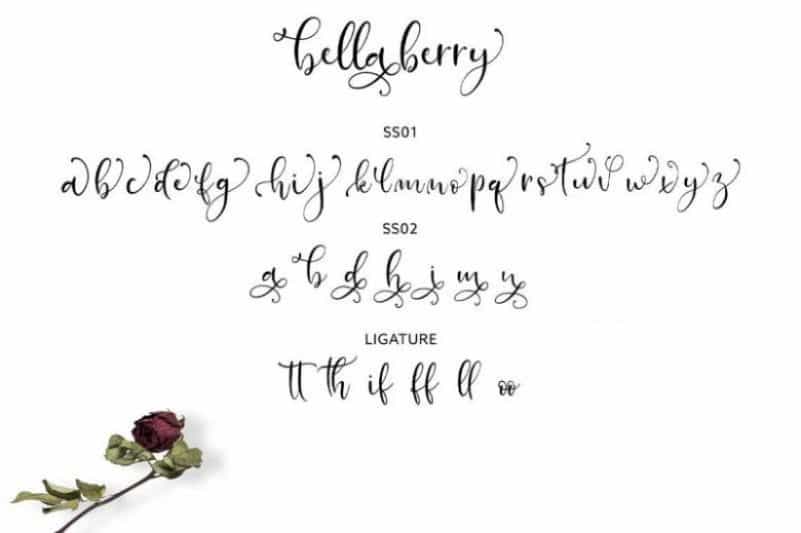 BellaBerry Script Font Image 3