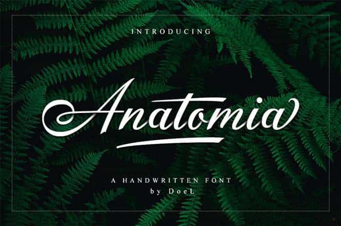 Anatomia Font Image 1