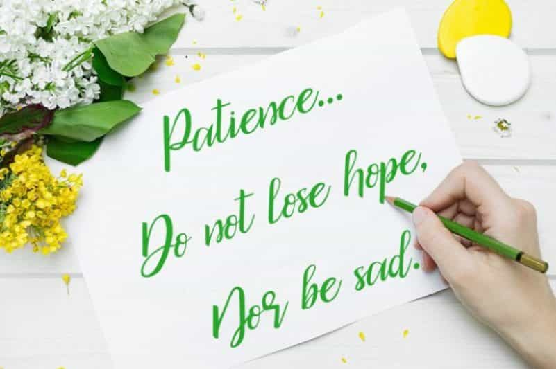 Bicillesta Calligraphy Font Image 2