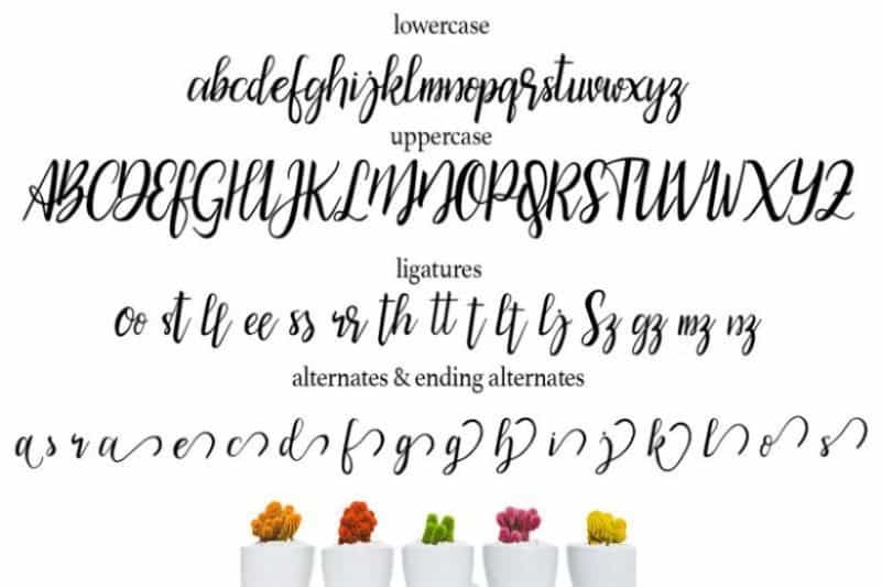 Bicillesta Calligraphy Font Image 3