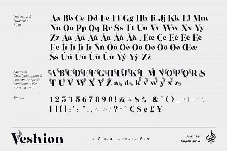 Veshion Serif Font Image 2