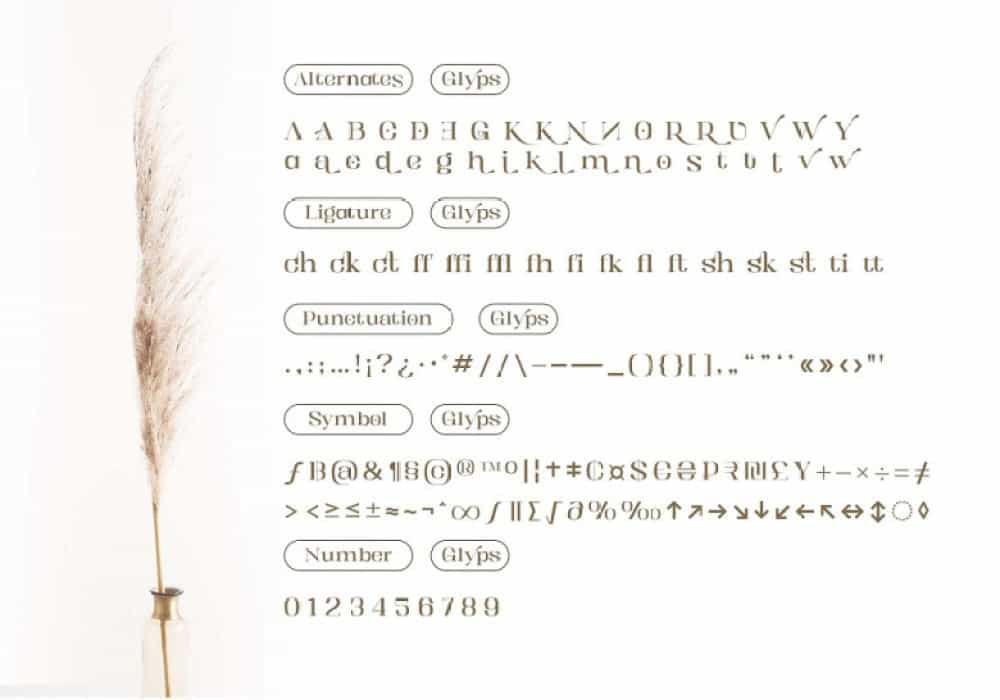 Kartikana Font Image 3