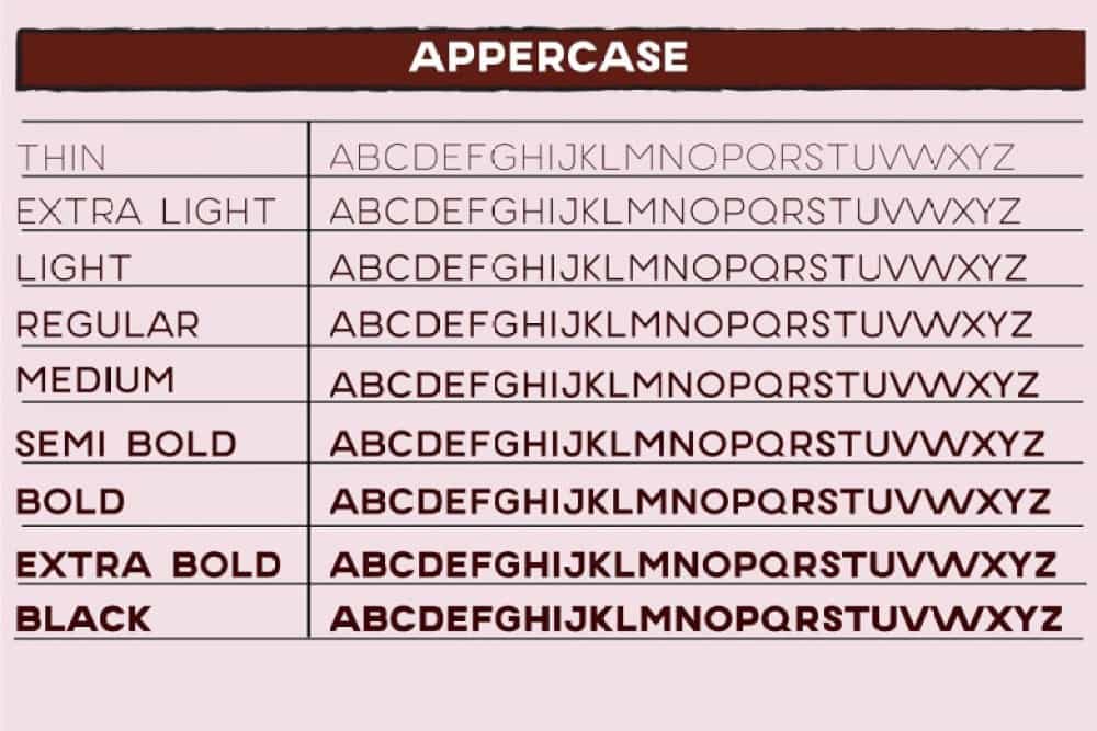 Erigo Font Family Image 2