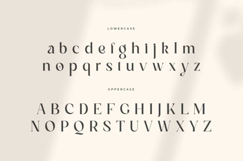 Magnolia Serif Font Image 2