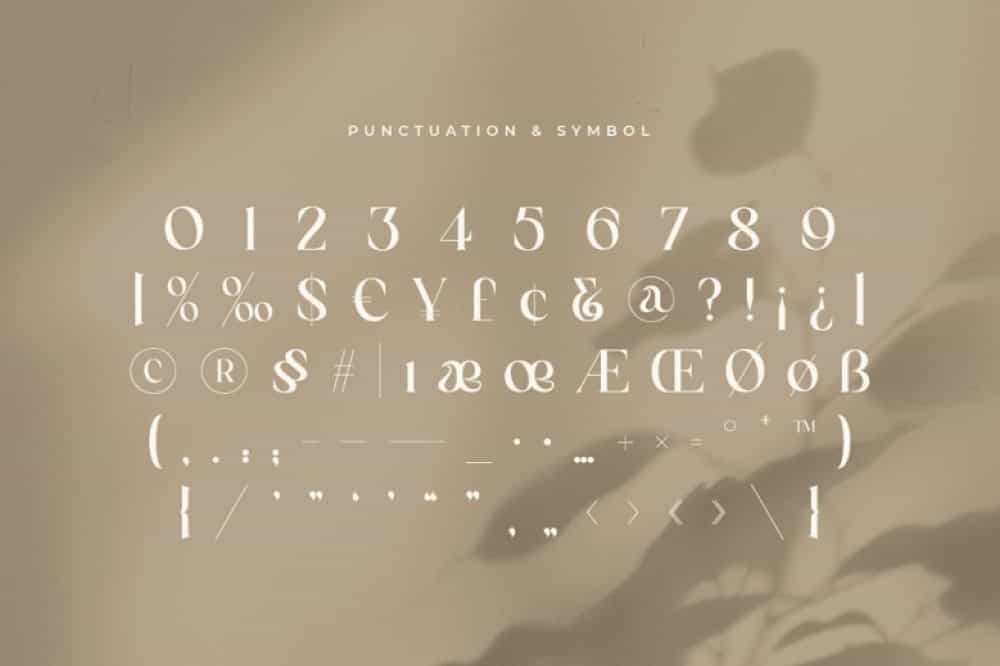 Magnolia Serif Font Image 3