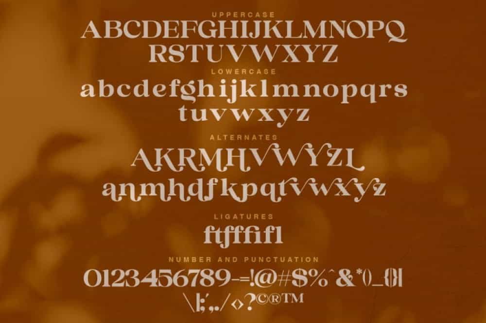 Aegra Kicye Font Image 3