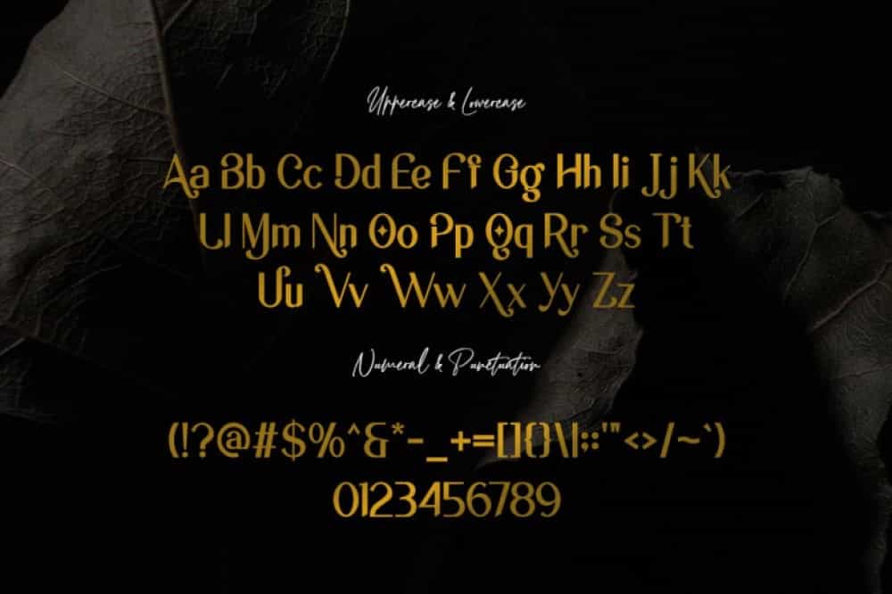 Copacovie Font Image 3