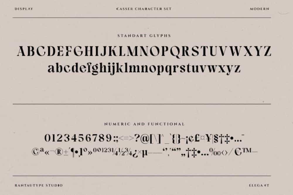 Casser Font Image 3