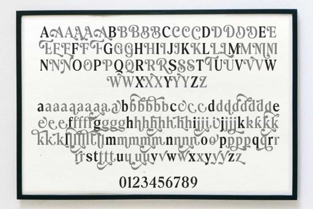 Exclusive Editorial Font Image 2
