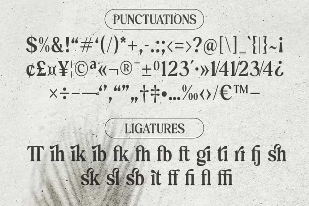 Exclusive Editorial Font Image 3