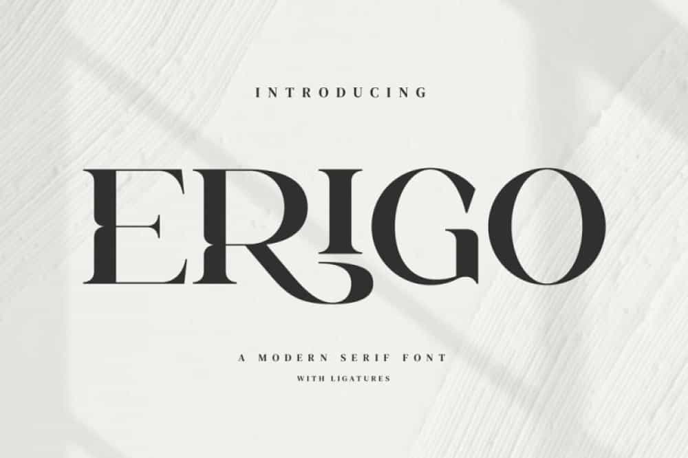 Erigo Serif Font Image 1