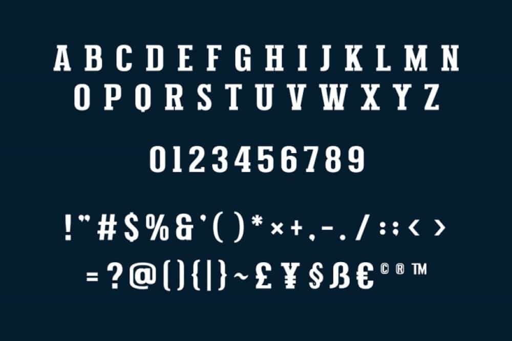 Varsity Signature Font Image 2