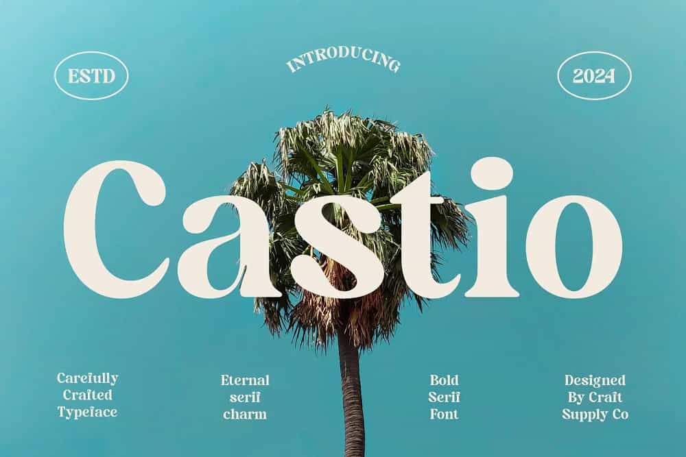 Castio Font Image 1