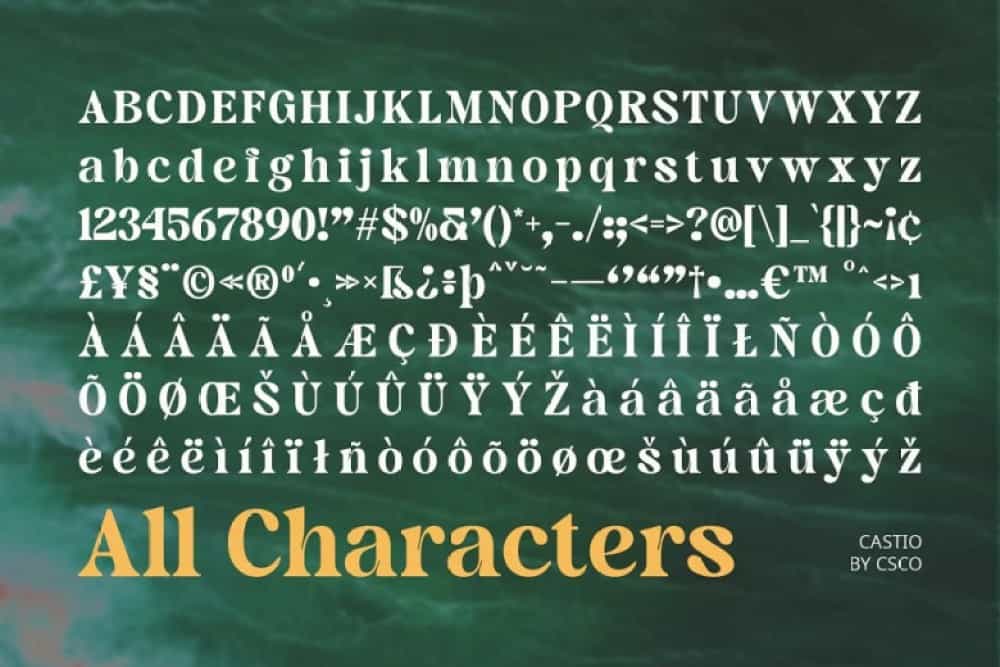 Castio Font Image 3