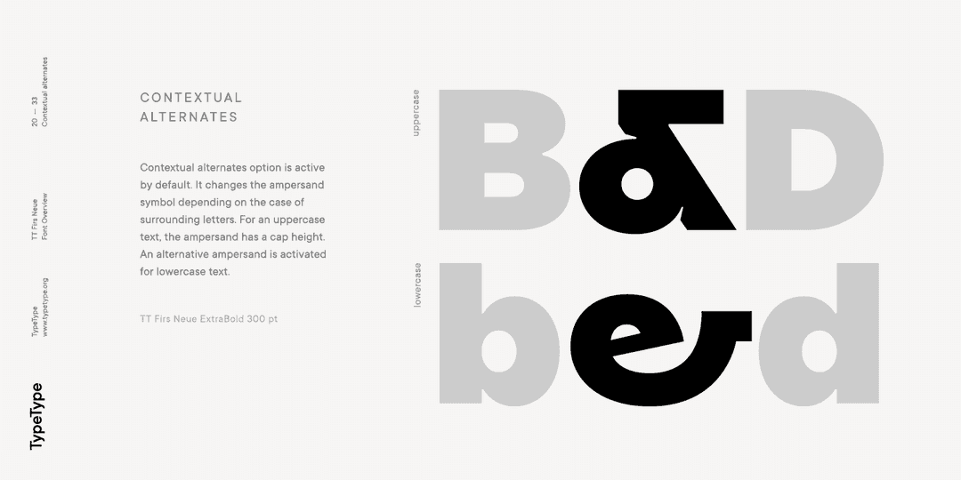TT Firs Neue Font Family Image 2