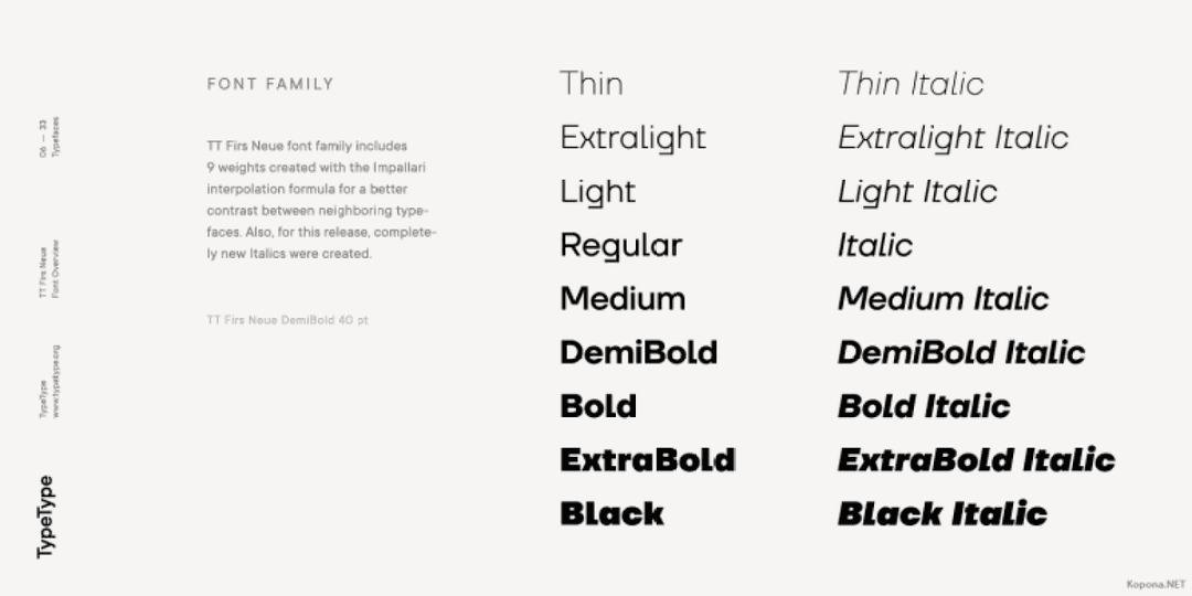 TT Firs Neue Font Family Image 3
