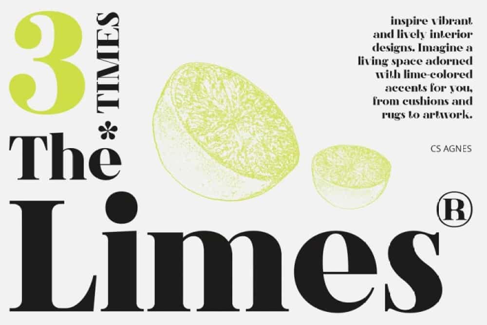 CS Agnes Font Image 2
