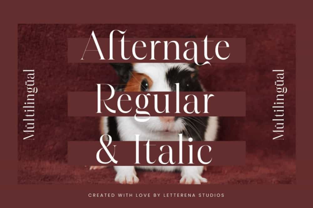 Hamster Font Image 2
