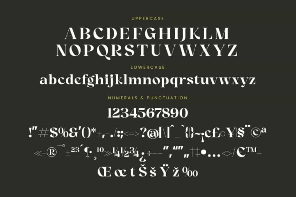 Angfia Relaftio Font Image 3