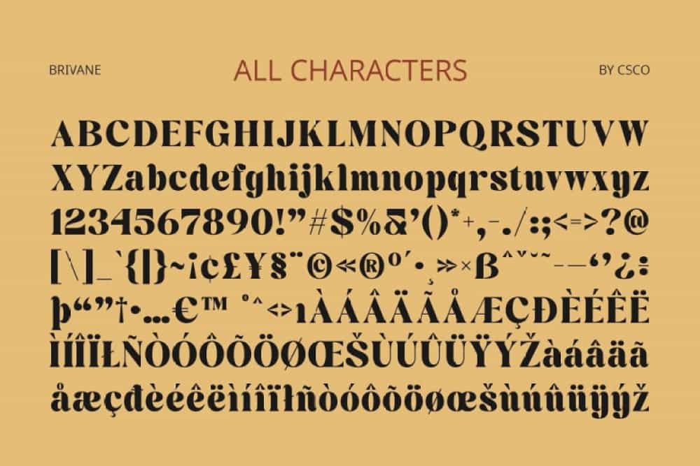 Brivane Font Image 3