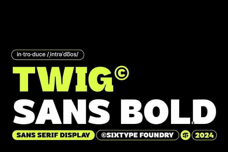 Twig Sans Bold Font Image 1
