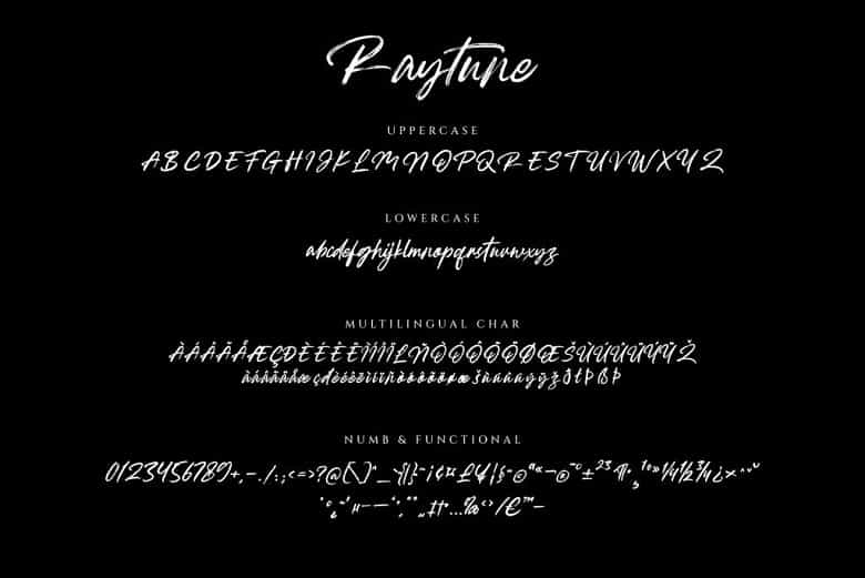 Raytune Font Image 3