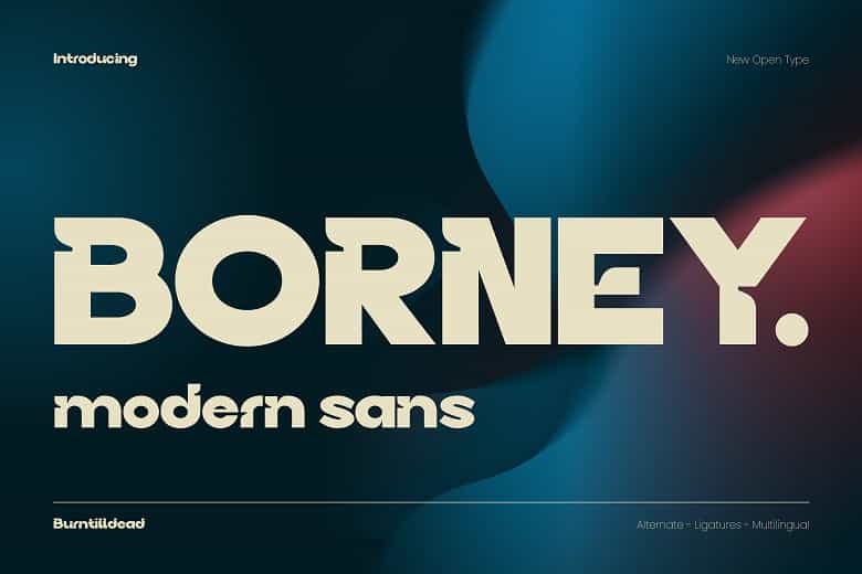 Borney Font Image 1