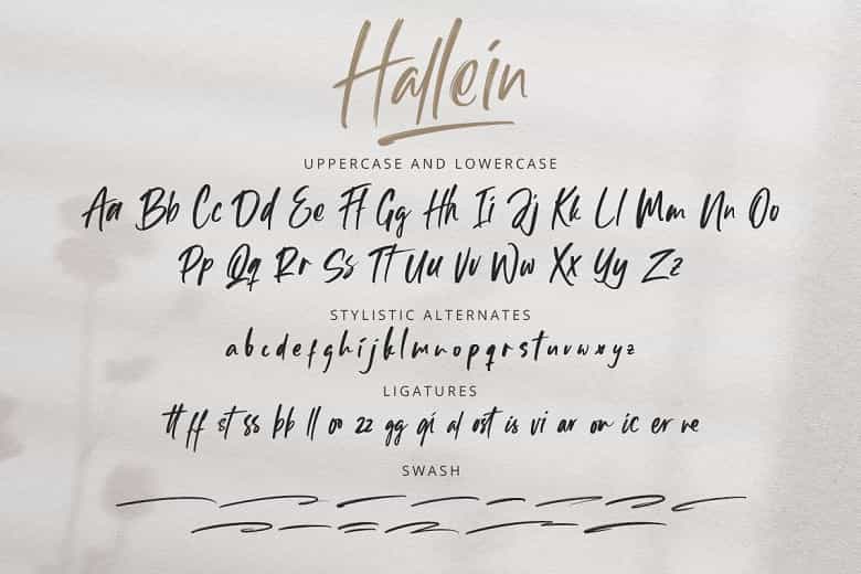 Hallein Font Image 2