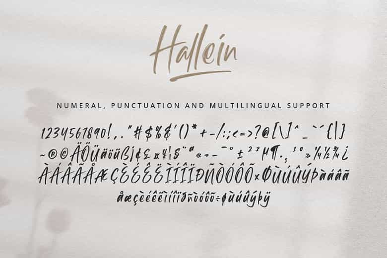 Hallein Font Image 3