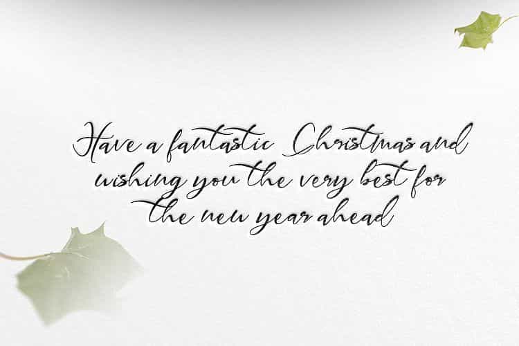 Ramovia Script Font Image 3