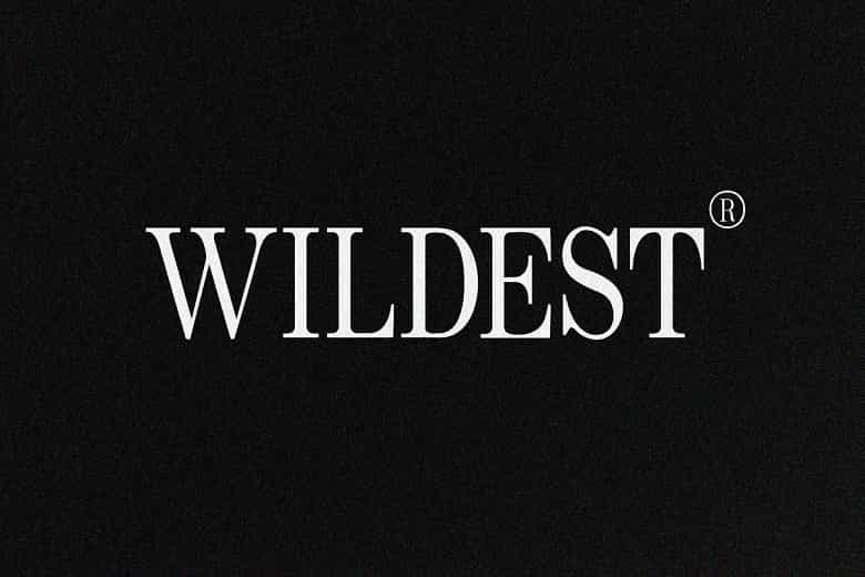 Wildest Font Image 1