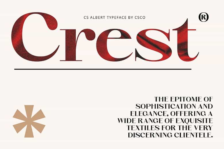 CS Albert Font Image 2