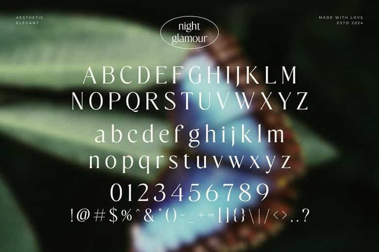 Night Glamour Font Image 3