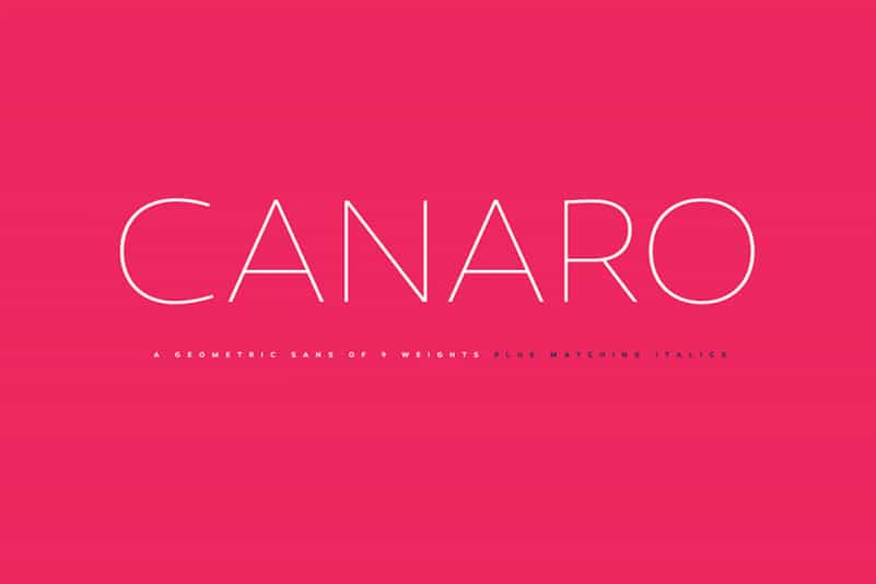 Canaro Sans Font Family Image 1