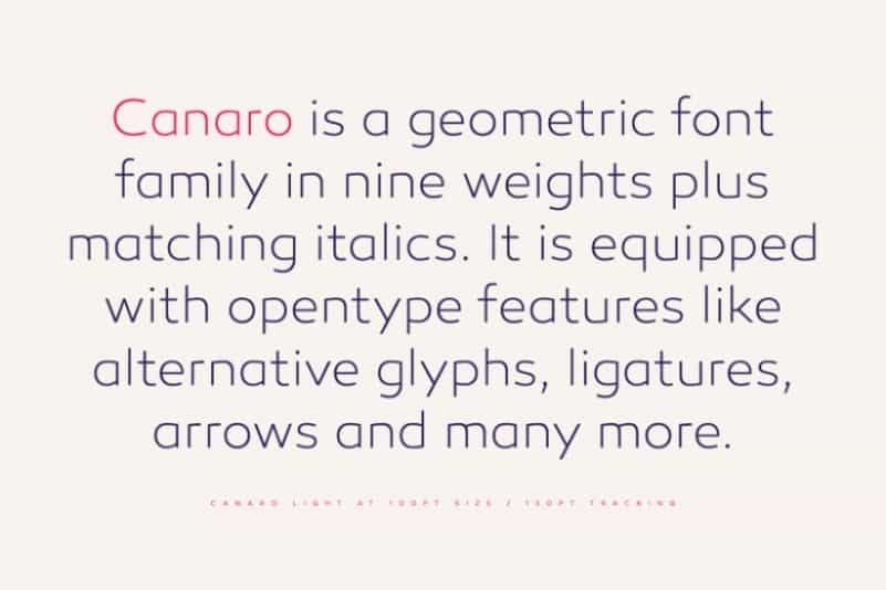 Canaro Sans Font Family Image 2