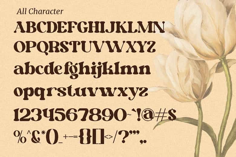 Dianda Font Image 3