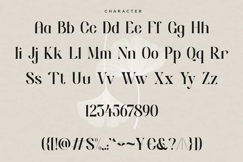 Quin Font Image 3