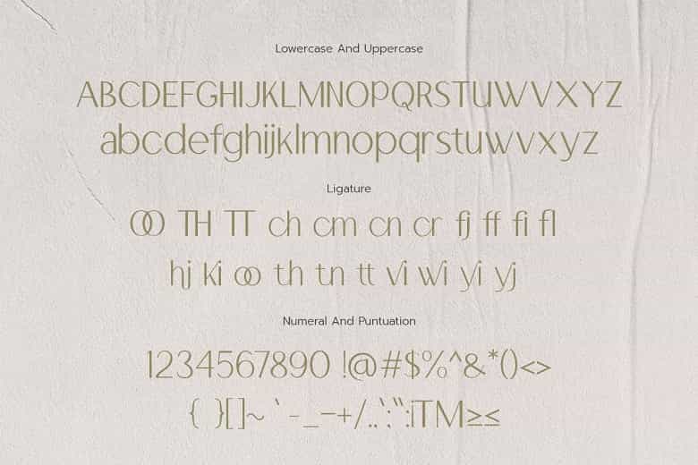 Alevia Font Image 3