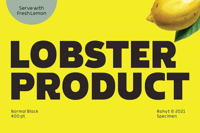 Rohyt Geometric Font Family Image 2