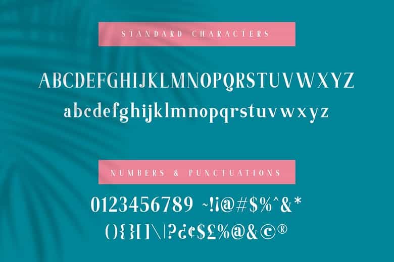 Abigale Font Duo Image 2