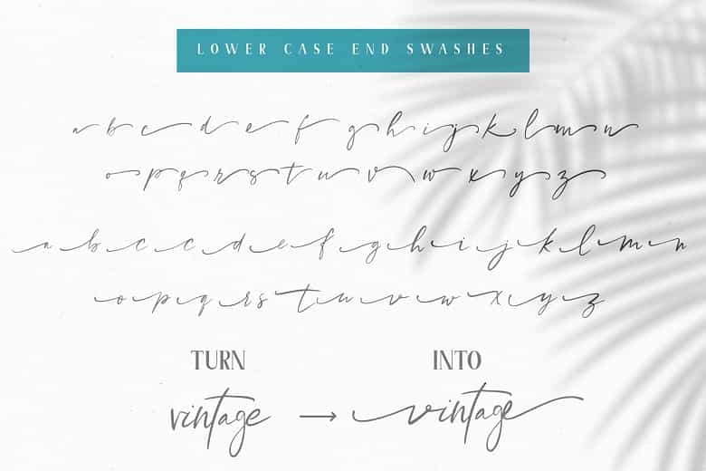 Abigale Font Duo Image 3