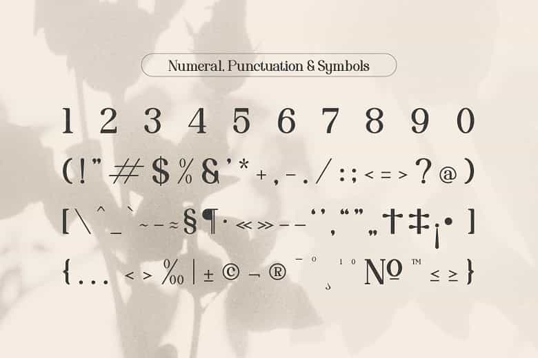 Davey Veretti Font Image 3